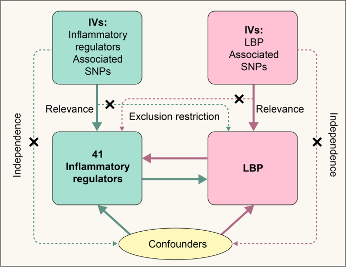 Exploring causal correlations between blood inflammatory cytokines and ...
