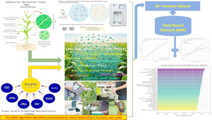Enhanced deep neural network with interaction features for corn seed ...