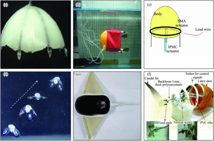 Review of research and control technology of underwater bionic robots