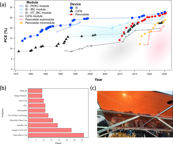 Solution-processed halide perovskite solar cells: from coating to ...