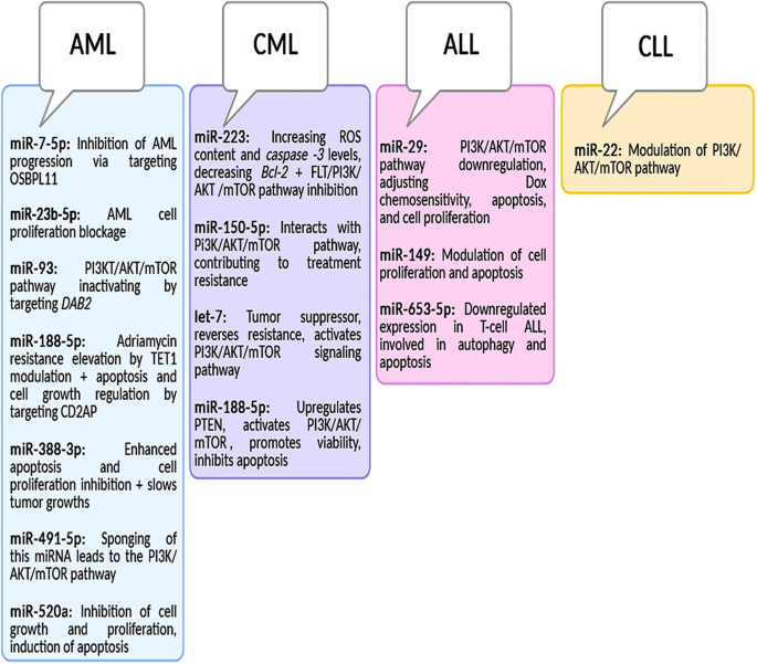 Unveiling the role of microRNAs, the PI3K/AKT pathway, and their ...