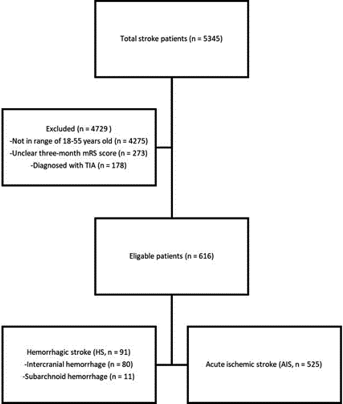 Comparative analysis of risk factors and clinical outcomes in young ...