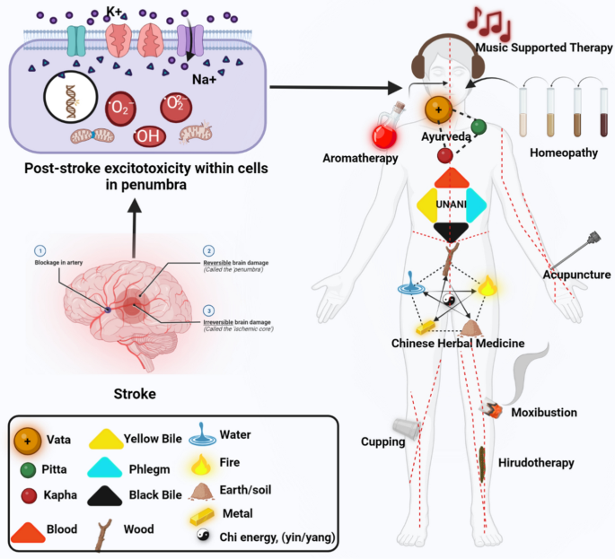 glutathione stroke recovery Exogenous exerts a therapeutic effect in ischemic rats by interacting with intrastriatal dopamine Natural Stroke Recovery: Ayurveda &