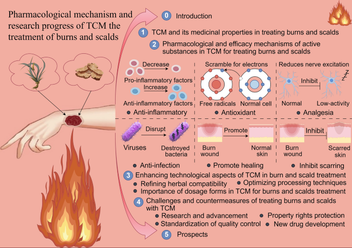 Pharmacological mechanism and research progress of traditional Chinese ...