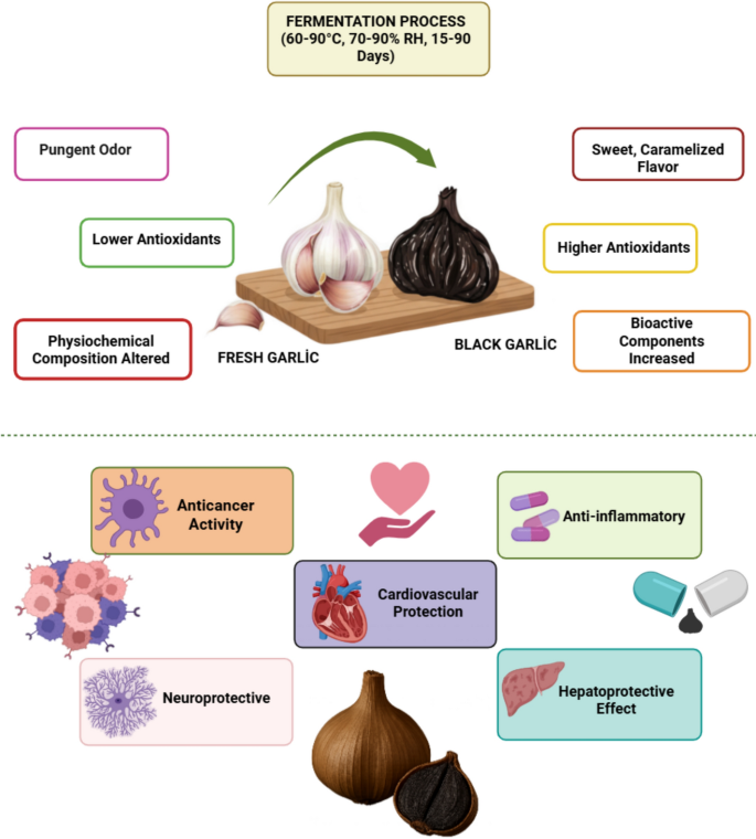 does garlic increase glutathione Functional and physicochemical properties during the transition from fresh  to black garlic: a comparative review | Discover Molecules