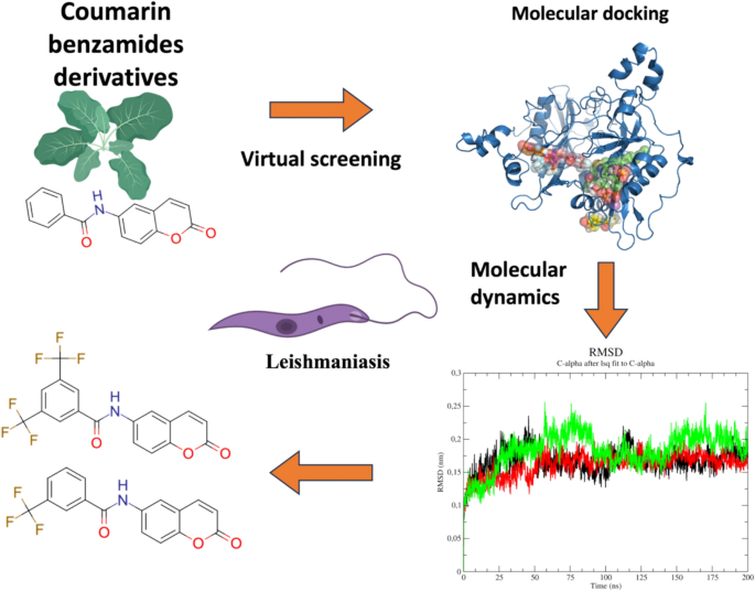 Insights of ligand-based virtual screening in molecular docking and ...
