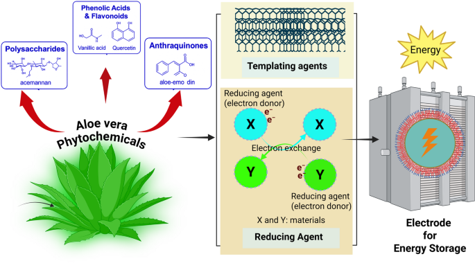 Aloe vera-mediated green synthesis of transition metal oxides: structural  insights and electrochemical applications in energy storage | Discover  Chemistry | Springer Nature Link