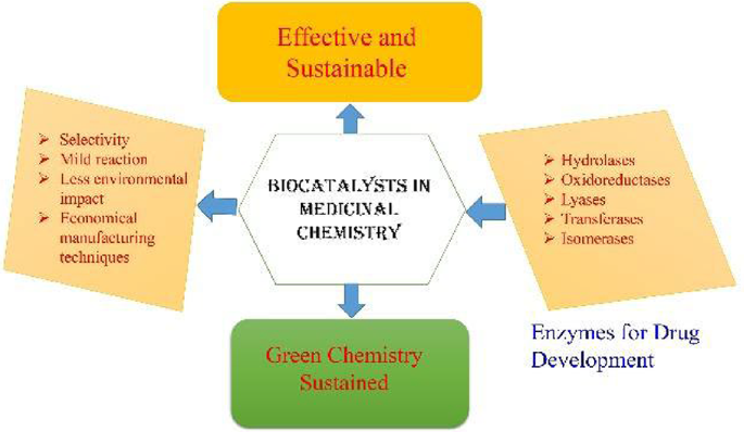 Biocatalysis in medicinal chemistry: sustainable enzymatic ...