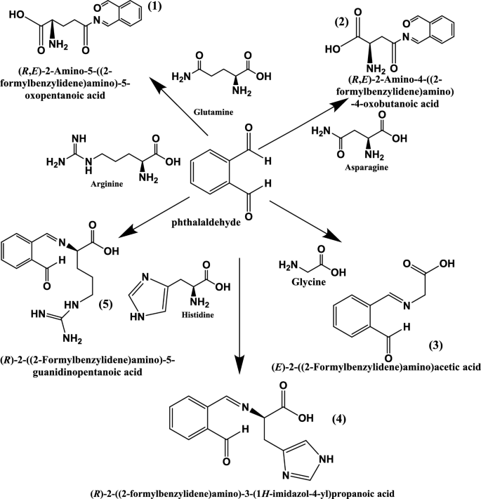 Design, synthesis, molecular modeling and biological investigation of ...