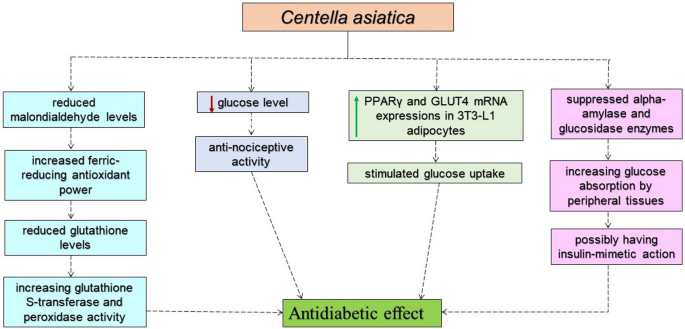increasing glutathione levels Clinical Glutathione™ main image 0