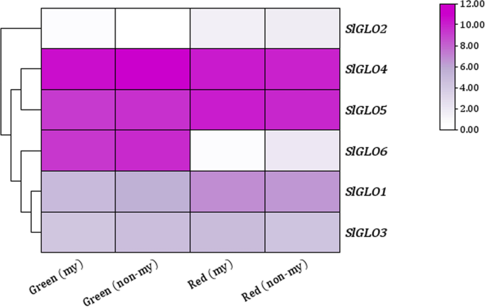 Fig. 11