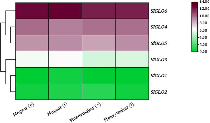 Fig. 12
