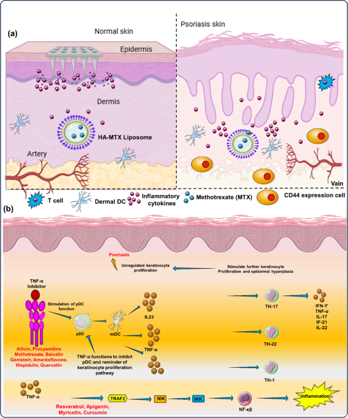 glutathione s transferase sequence Overexpression of Glutathione S-Transferases in Human Diseases: Drug  Targets and Therapeutic Implications