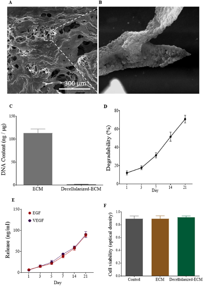 Correction: Hydrogel Based on Adipose Tissue-Derived Extracellular ...