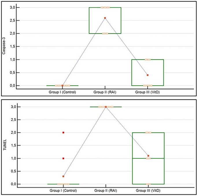 Protective Role of Vitamin D in Attenuating RAI-Induced Liver Injury in ...