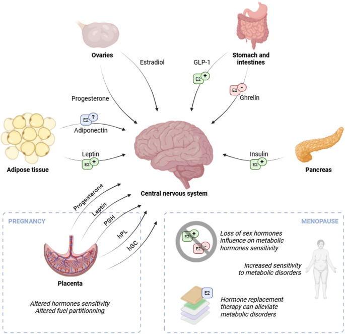 benefits of taking glp 1 I Am Taking a GLP-1 Weight-Loss Medication—What Should I Know?