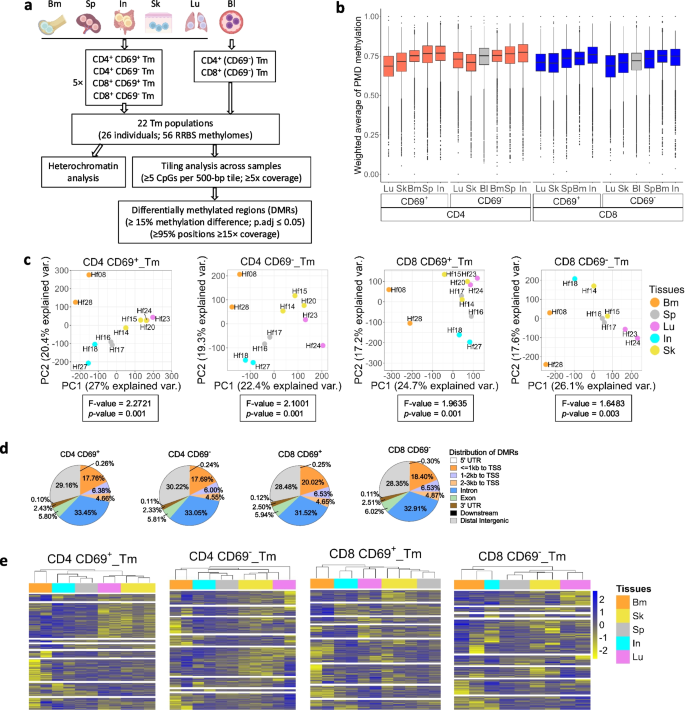 Methylomes of human CD4 and CD8 memory T lymphocytes reveal tissue ...