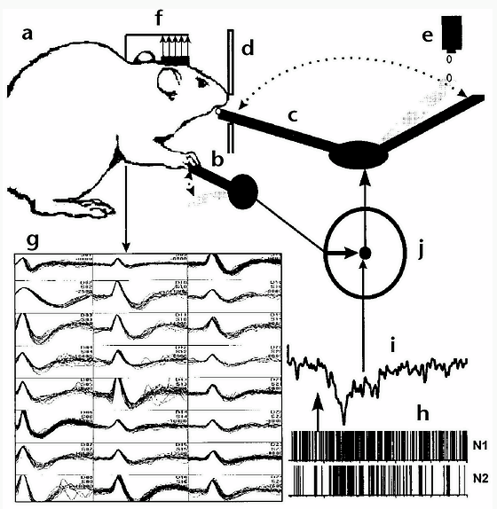 robotic arm control system