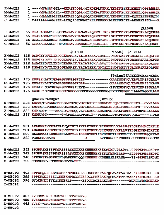 Rett Syndrome Is Caused By Mutations In X Linked Mecp2 Encoding Methyl Cpg Binding Protein 2 Nature Genetics