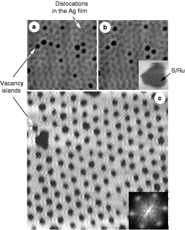 Identifying The Forces Responsible For Self Organization Of Nanostructures At Crystal Surfaces Nature