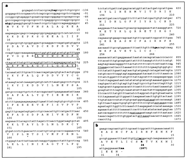 A Stop Codon Mutation In The Bri Gene Associated With Familial British Dementia Nature