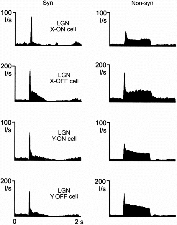 State Dependent Receptive Field Restructuring In The Visual Cortex Nature