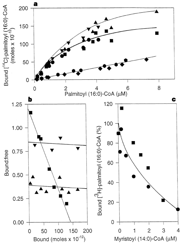 Fatty Acyl Coa Thioesters Are Ligands Of Hepatic Nuclear Factor 4a Nature