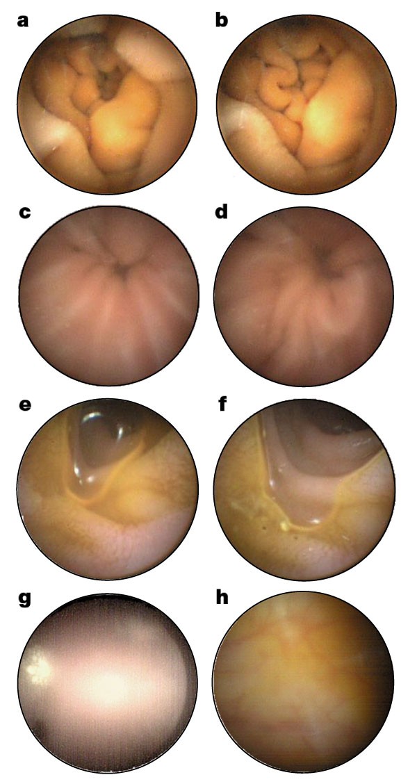 figure1