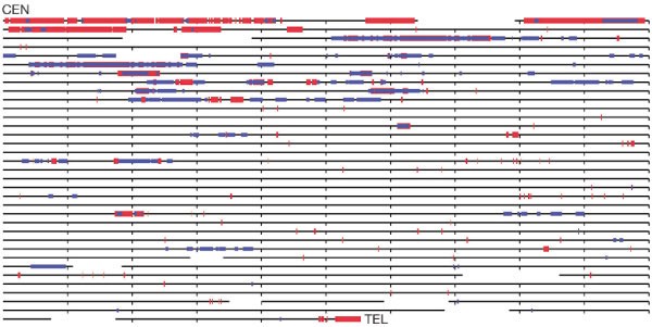 figure 30