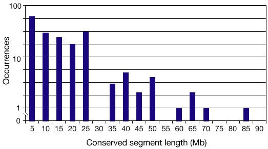 figure 48