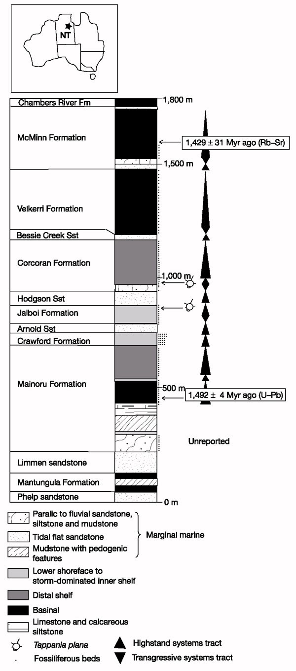 Morphological and ecological complexity in early eukaryotic ecosystems |  Nature