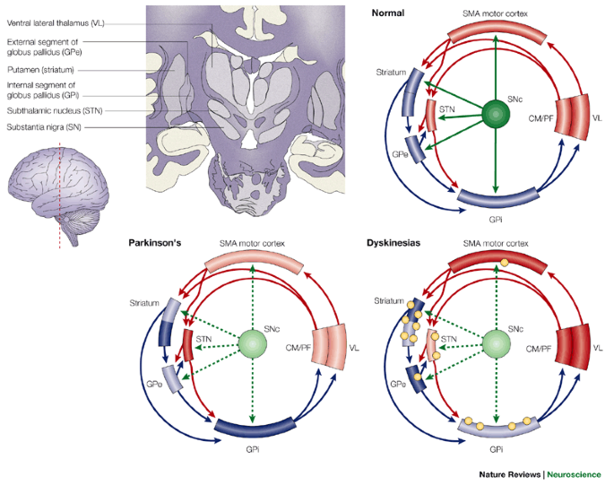 Pin Von Alternative Medizin Auf Pin