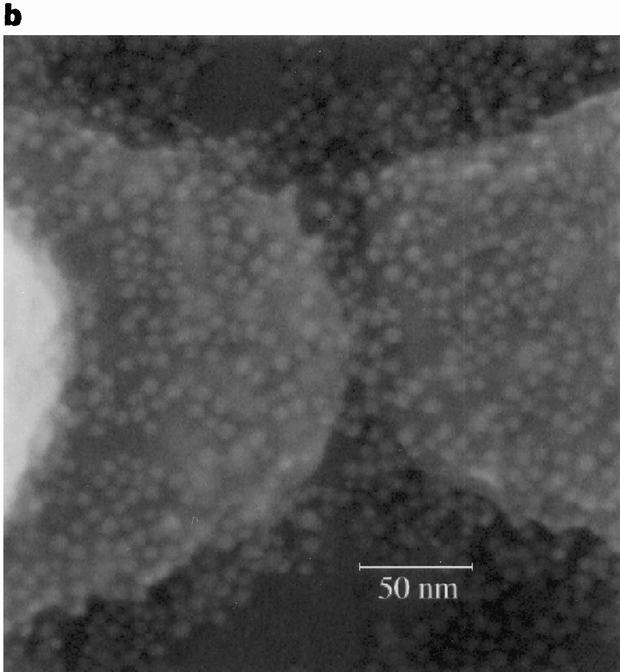 A Single Electron Transistor Made From A Cadmium Selenide Nanocrystal Nature