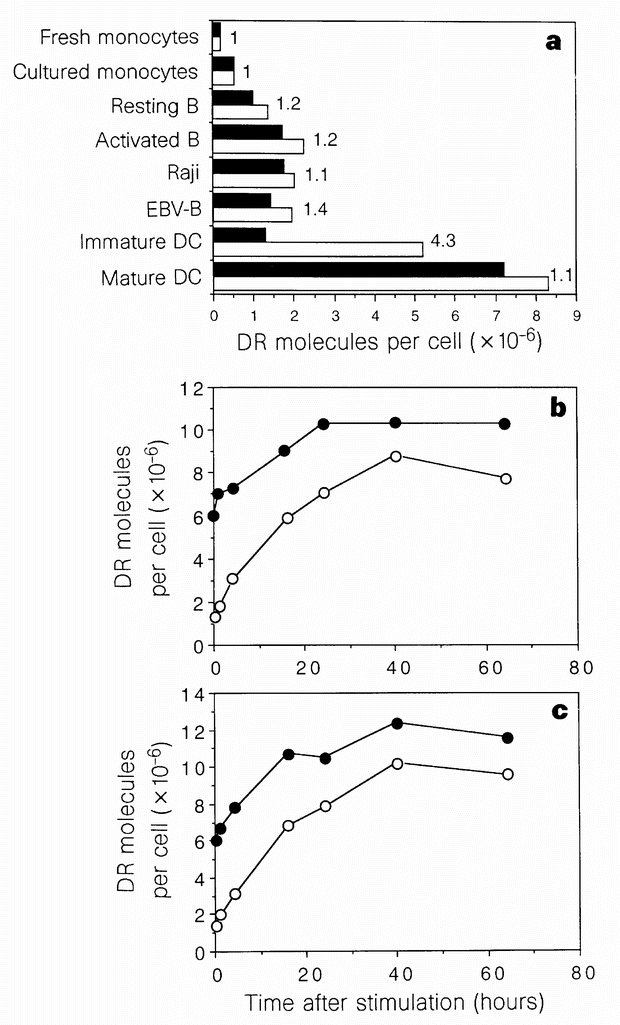 Inflammatory Stimuli Induce Accumulation Of Mhc Class Ii Complexes On Dendritic Cells Nature