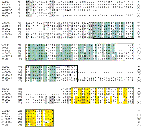 A Family Of Cytokine Inducible Inhibitors Of Signalling Nature