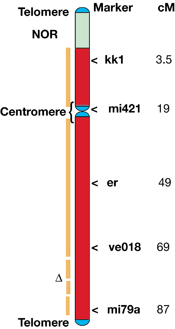 Sequence And Analysis Of Chromosome 2 Of The Plant Arabidopsis Thaliana Nature