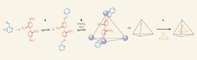 Phosphorus Caged Nature Phosphorus Caged Nature