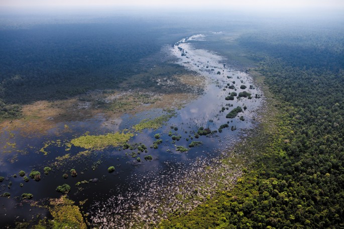 Vast peatlands found in the Congo Basin | Nature