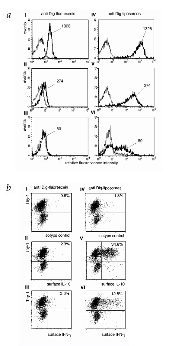 High Sensitivity Immunofluorescence For Detection Of The Pro And Anti Inflammatory Cytokines Gamma Interferon And Interleukin 10 On The Surface Of Cytokine Secreting Cells Nature Medicine