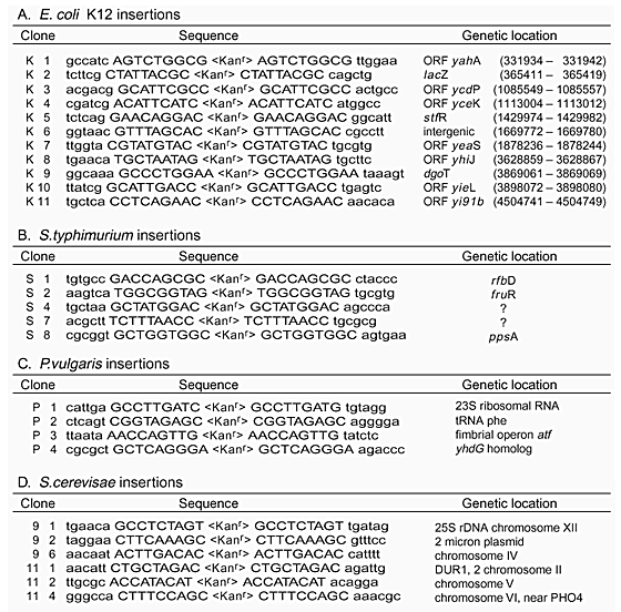 Insertional Transposon Mutagenesis By Electroporation Of Released Tn5 Transposition Complexes Nature Biotechnology Insertional Transposon Mutagenesis By Electroporation Of Released Tn5 Transposition Complexes Nature Biotechnology