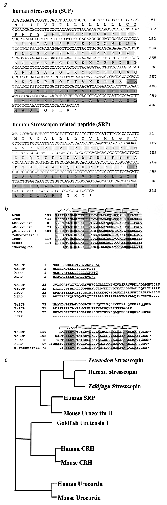 Human Stresscopin And Stresscopin Related Peptide Are Selective Ligands For The Type 2 Corticotropin Releasing Hormone Receptor Nature Medicine