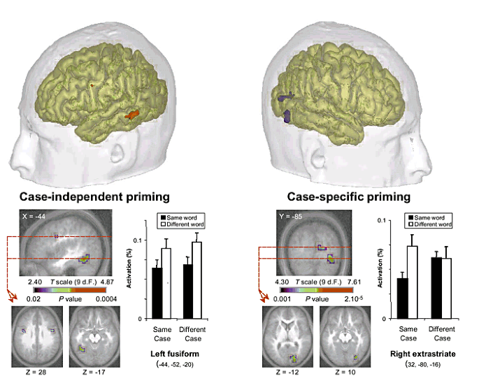 Cerebral mechanisms of word unconscious repetition priming | Nature Neuroscience