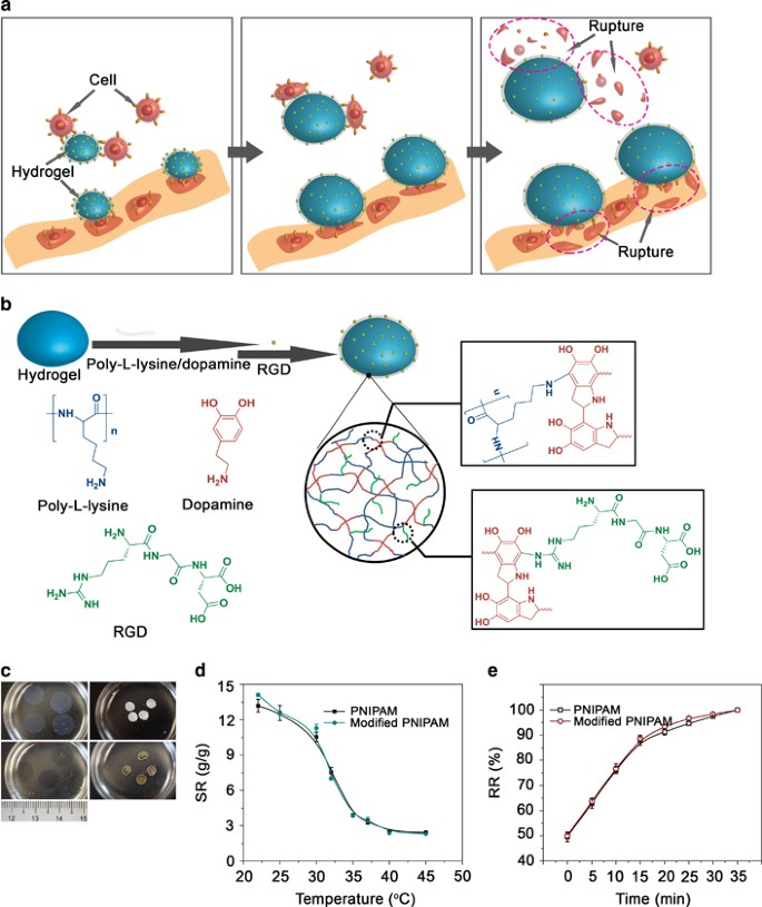 Integrated and dual-responsive lipopeptide nanovector with