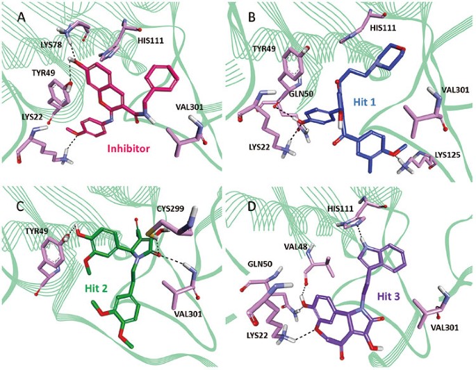 figure 10