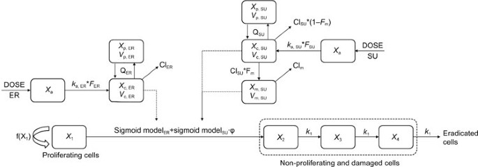 Preclinical PK/PD model for combined administration of erlotinib and sunitinib in the treatment of A549 human NSCLC xenograft mice | Acta Pharmacologica Sinica Preclinical PK/PD model for combined administration of erlotinib and sunitinib in the treatment of A549 human NSCLC xenograft mice | Acta Pharmacologica Sinica