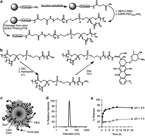 Rationally Engineered Nanoparticles Target Multiple Myeloma Cells Overcome Cell Adhesion Mediated Drug Resistance And Show Enhanced Efficacy In Vivo Blood Cancer Journal