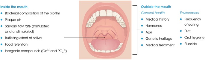 xerostomía caries y