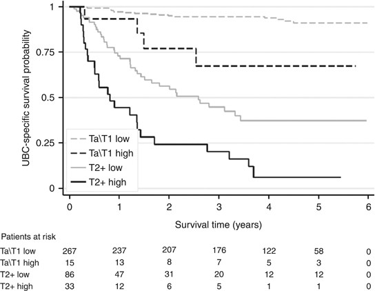 Protein shedding in urothelial bladder cancer: prognostic implications of  soluble urinary EGFR and EpCAM | British Journal of Cancer