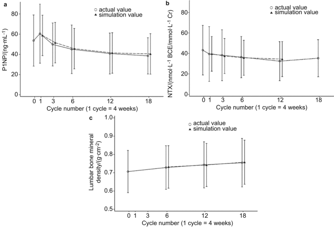 New simulation model for bone formation markers in osteoporosis patients  treated with once-weekly teriparatide | Bone Research