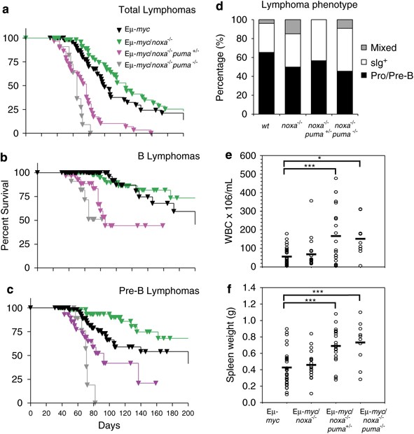 Puma and to a lesser extent Noxa are suppressors of Myc-induced  lymphomagenesis | Cell Death & Differentiation